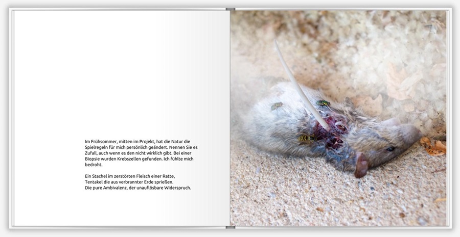 Seite "Tod" des Kunstbuches TENTAKEL von Jochen Schnepf, Bildender Künstler